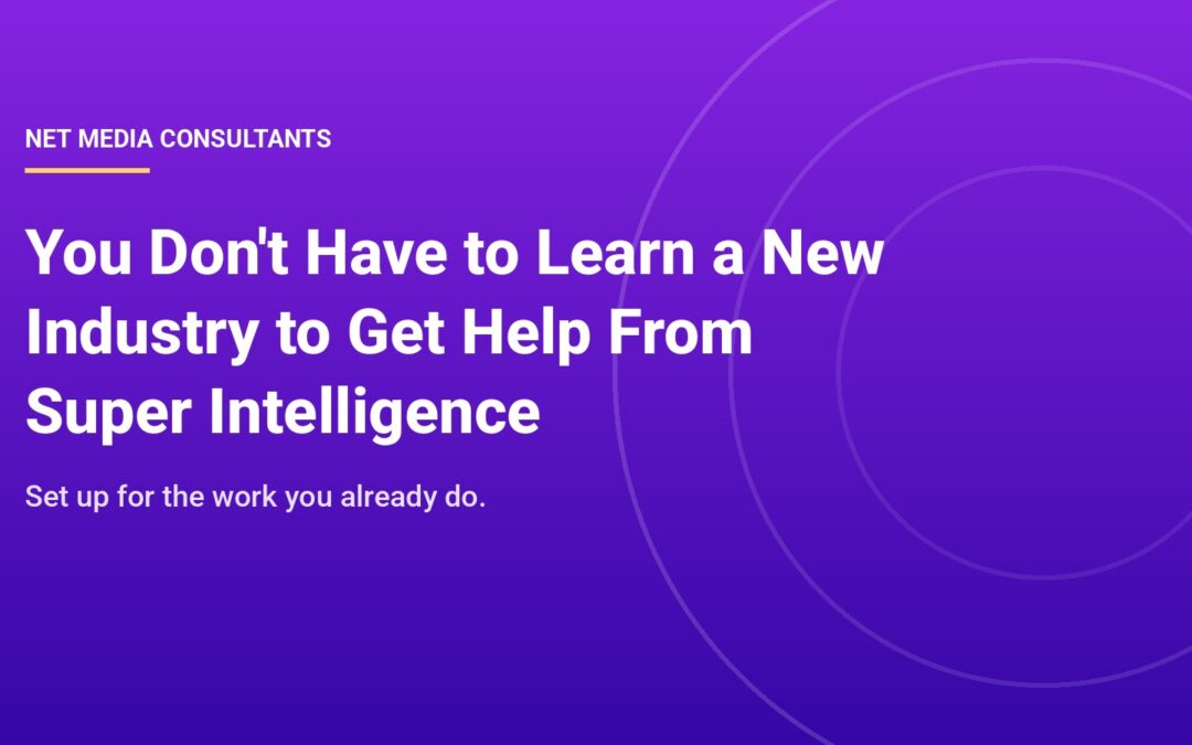 You Don't Have to Learn a New Industry to Get Help From Super Intelligence, Net Media Consultants
